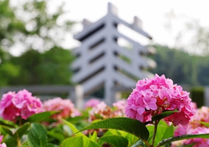 兰香湖湖居美学|上海湖居社群|兰香湖贰号活力水岸|沪居滨水经济带|闵行滨水区与产业核心整合|上海高端住宅·兰香湖贰号|湖畔全能生活场|兰香湖壹号